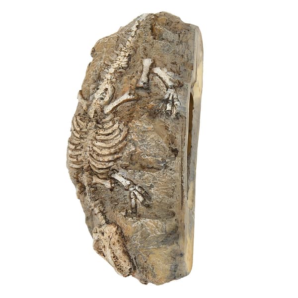 Akvarium Dinosaur Fossil Dekorasjon Harpiks Reptil Gjemmested