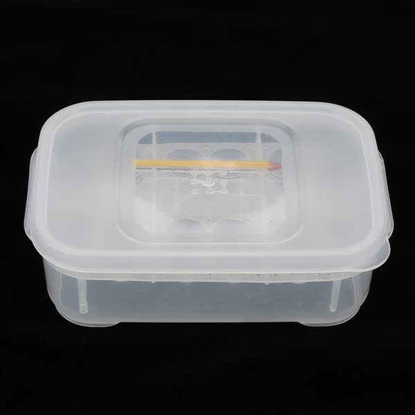 Reptilrugemaskinebakke med Termometer 12 Rum