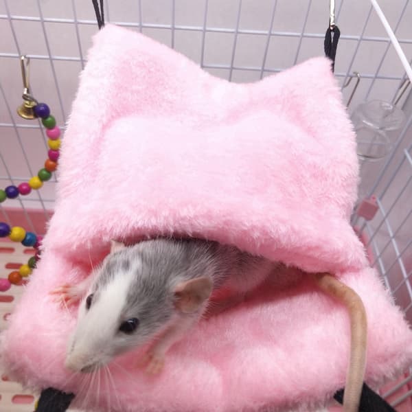 Rosa Hamster Hängande Säng Varm Vinter Husdjursgrotta Sovbur Rosa