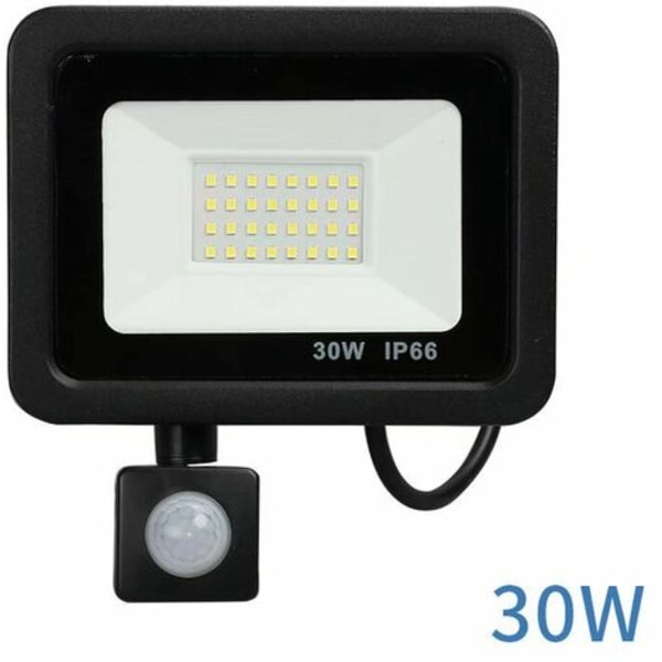 Ihmiskehon induktio-LEd Flood Light (vakiovirta kytketty, ei pistoketta) (30 W)