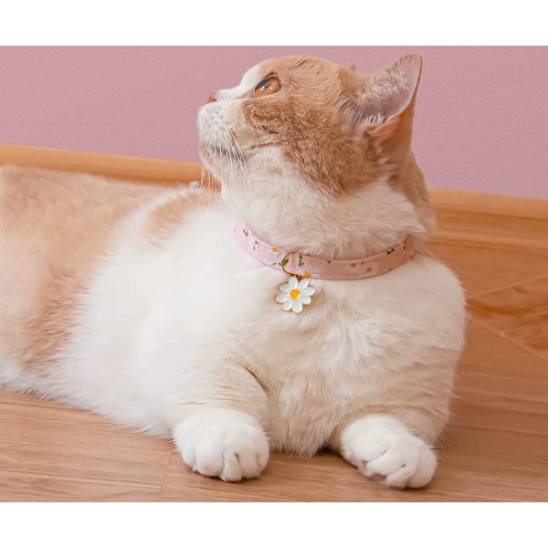2-osainen puuvillainen halkaistu kissanpanta kellolla, vaaleanpunainen kukkariipus, söpö kissanpanta, kissanpennun kaulus, täydellinen tytöille, kissoille, pojille, kissoille