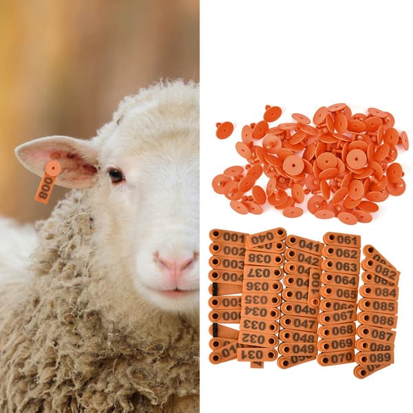 1 100 Plastnummer Öronmärke för Get Får Gris Orange