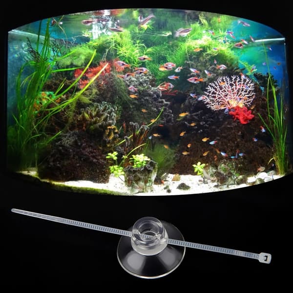 Transparent Akvarium Luftpump Slang för Luftstenar Värmare