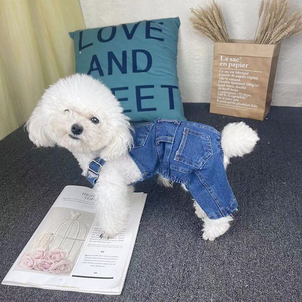 Pet Denim -haalari XXL