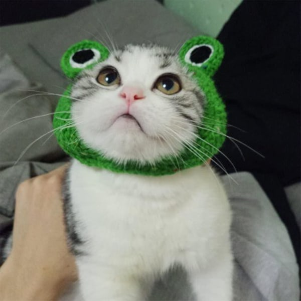 Lemmikkisammakkohattu - Button S, 22-24 Cat