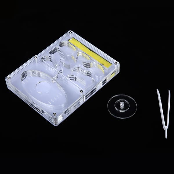 Transparent Akryl 3D Myrefarm Redesystem til Opdræt og Fodring
