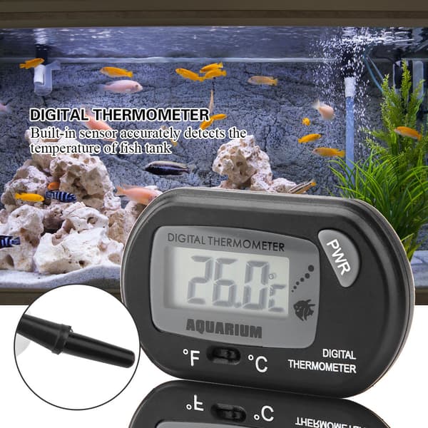 Lille Digitalt Akvarietermometer Temperaturmåler Maskine Sort