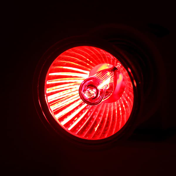 Matelijan lämmityslamppu UVA UVB infrapuna auringonvalo 50W