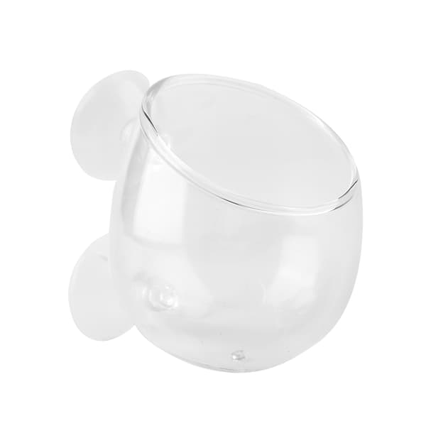 Mini Akvarium Levande Växt Kopp Landskap Växter Odling Bassäng
