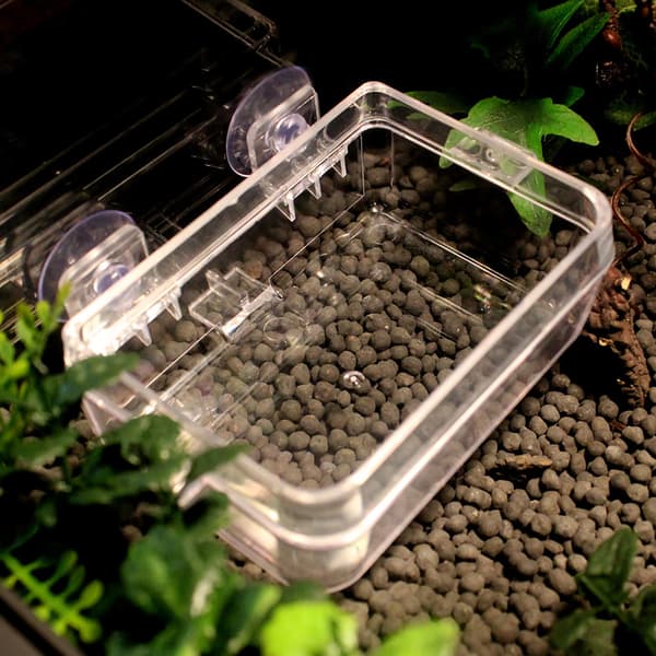 Amfibie Reptil Anti Escape Foder Maske Foder Pool Skildpadde Firben Kravle Madskål