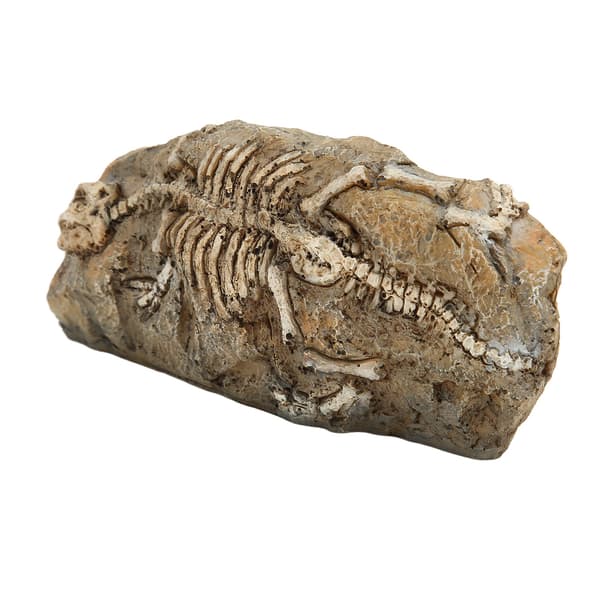 Akvarium Dinosaur Fossil Dekoration Harpiks Krybdyr Klippehule