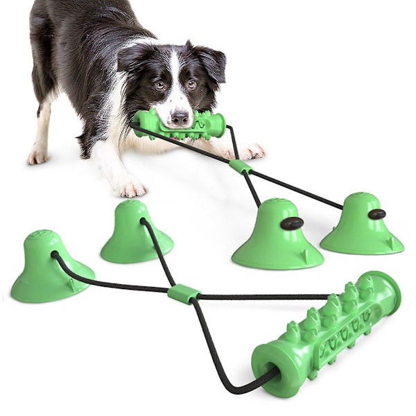 Pet Toys Dubbel sugkopp Dragsko (grön)