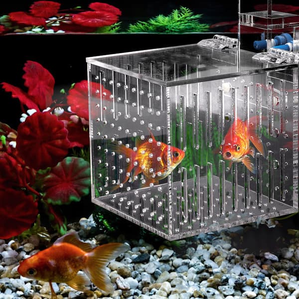 Multifunktionell Akryl Hög Klarhet Akvarium Fisk Isoleringstank