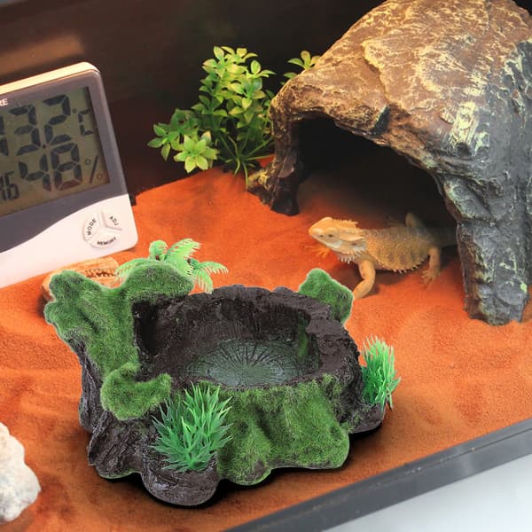 ZR 012 Hartssimuleringsplanter Akvarium Øgle Reptil Matskål Skilpadde Mat Vannmater Akvariumpynt