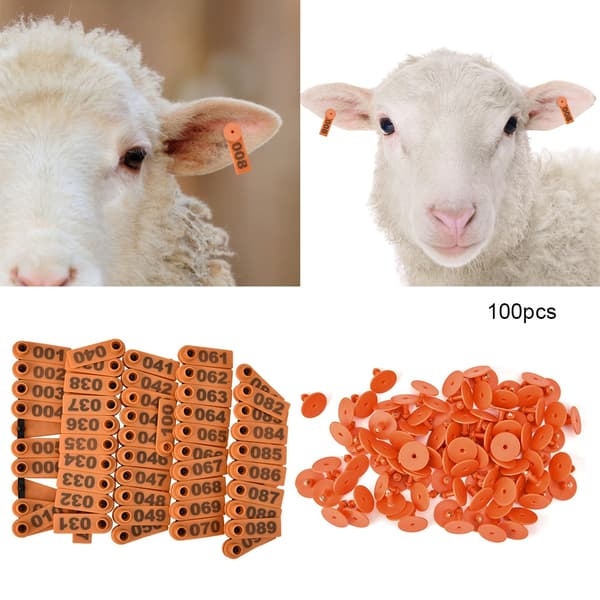 1 100 Plastnummer Öronmärke för Get Får Gris Orange