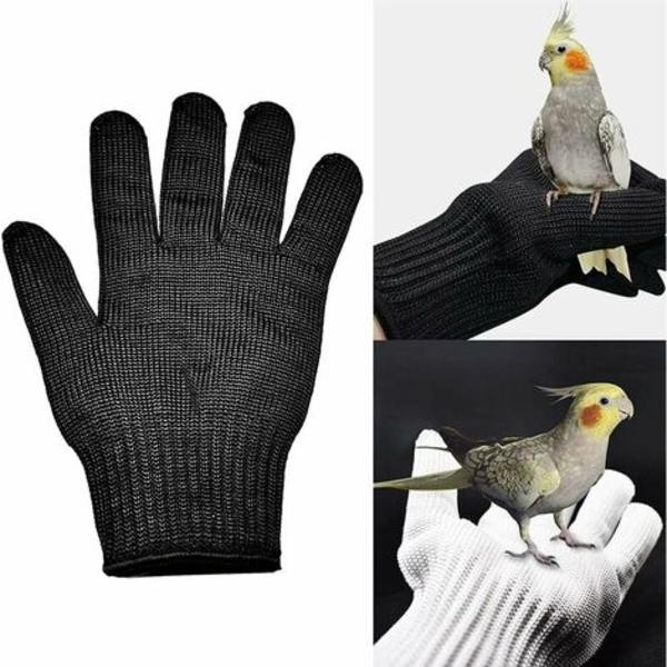 Parrot Anti-Bite Handsker Dyrepolstring Ridsefuglehåndteringshandsker Anti-Bite Træningshandsker af ståltråd Et par (sort)