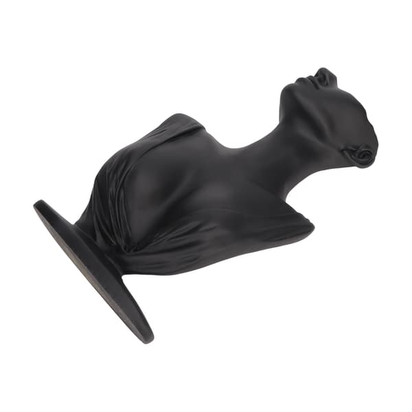 Sort Resin Elegant Letvægts Buste Display Stand til Halskæder med Stor Plads