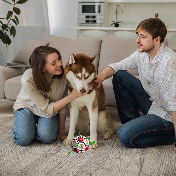 Hundelegetøj Uopslidelig Hundebold Uopslidelig Hundebold Hundebold Interaktive Hundebolde Hunde leger indendørs og udendørs, S