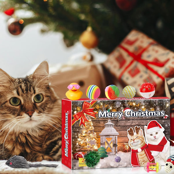 Ny Katt Adventskalender 2024, Nedräkning till Jul, 24 Dagars Nedräkningskalenderpresent, Rolig Jul Adventskalender Presentuppsättning