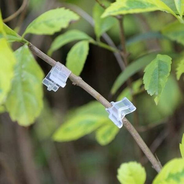 100 stk. Planter Podning Clip, Special Podning Clip Tomat Frøplante Podning Clip Transparent Aubergine Podning Clip til Vine Grøntsag Tomat Frugt