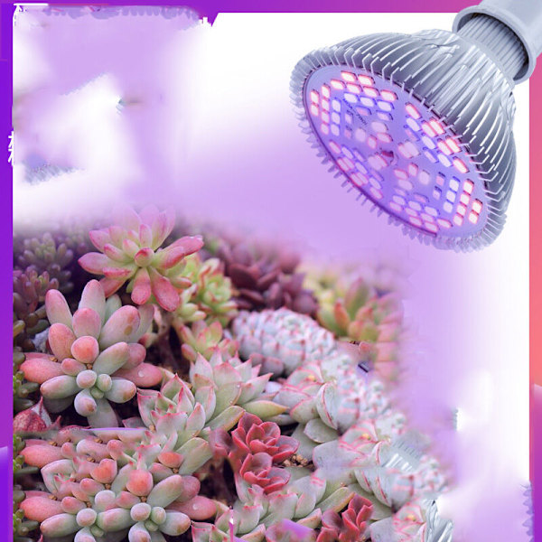 Täyden spektrin pitkä valo, 50W RGB kasvihuoneen istutusvalo, sisä- ja ulkovalaistukseen, koristeluun