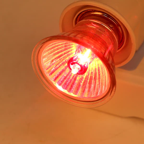 Reptil Varmelampe UVA UVB Infrarød Sollys Lampe 25W