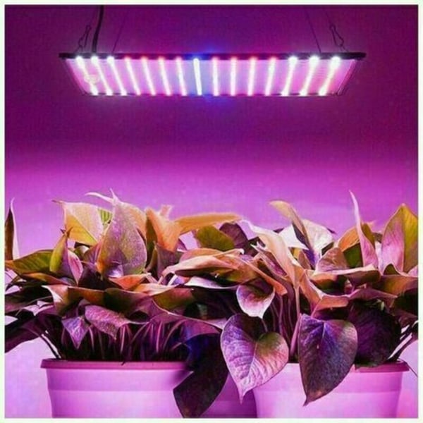 40 W puutarhanhoito-LED-lamppu kukkiva kasvuvalo, sisäviljelyn LED-paneeli kasvien kasvua varten, valkoinen