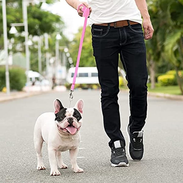 Downtown kæledyrsforsyning - Langt bly - Snor - Træningsværktøj til genkaldelse og lydighed - Nylon - 50 fod - Pink Snor