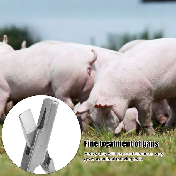 V-formet øremærketang i rustfrit stål til husdyr