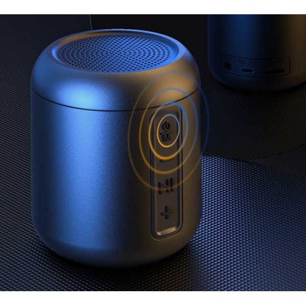 Bärbar subwoofer (svart)