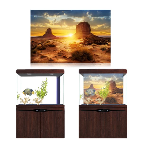 Desert Sun Akvaario Taustakuva 76x46cm