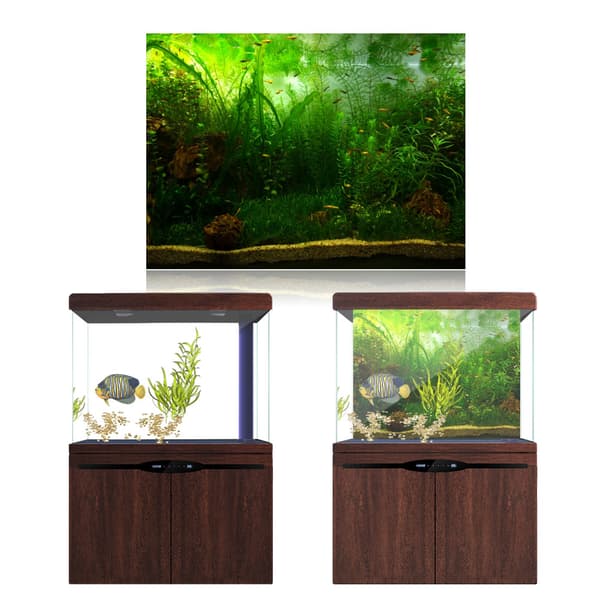 Akvariefisketank Baggrund Vandgræs Plakat 91x50cm