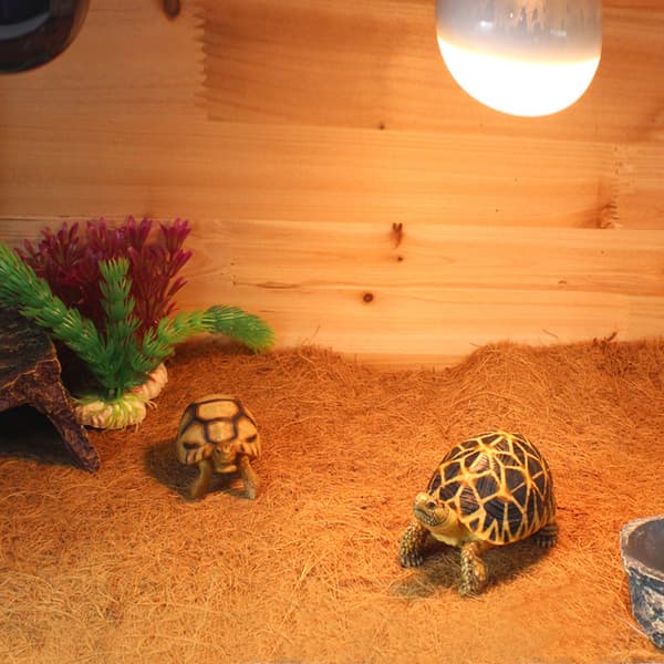 Kokosfiber Reptilmatta Ödleterrarium Bur Golv
