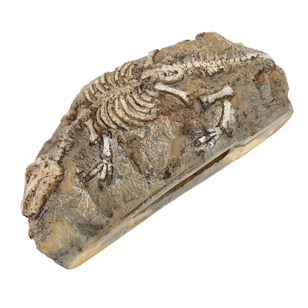 Akvarium Dinosaur Fossil Dekorasjon Harpiks Reptil Gjemmested