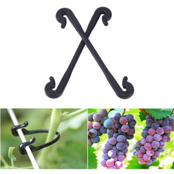 Vindruvbindningstråd, 100st vinbindningsklämma
