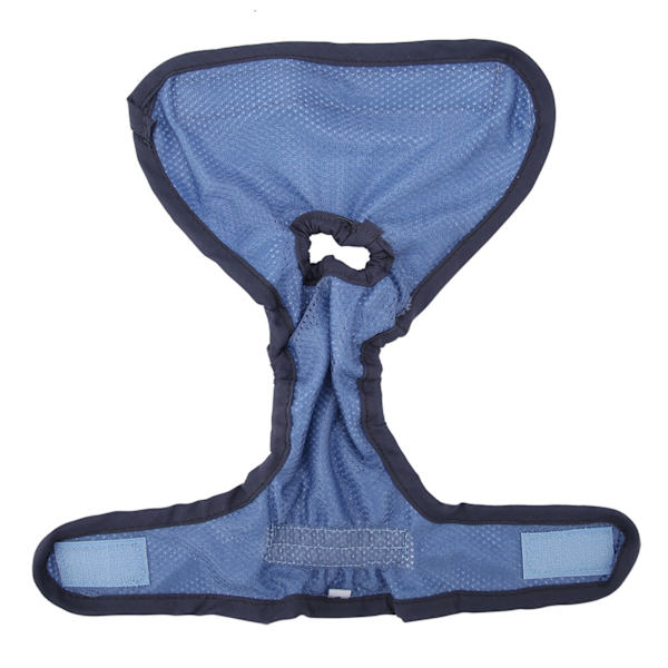 Polyester Hundbyxor Blå XL