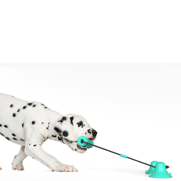 Pet Toys Dubbel sugkopp Dragsko (grön)