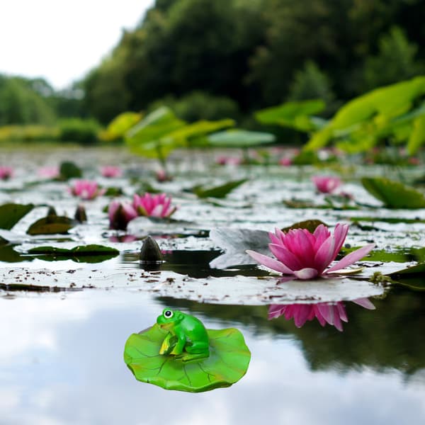 Flydende Blad Resin Ornament til Pool Fontæne Akvarium Vand