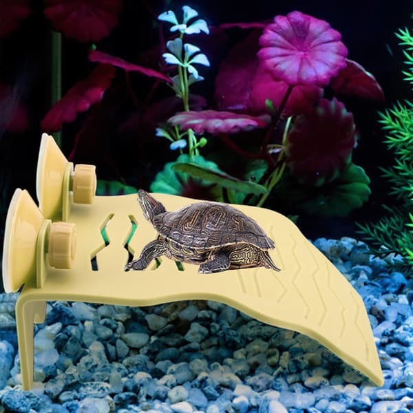Gul Flydende Skildpadde Solplatform Akvarium Klatreø Stor