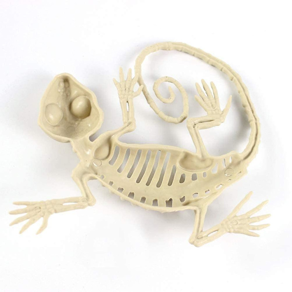 Gecko Skull Ornament,