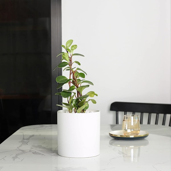 Nordic ins enkel keramisk urtepotte, Morandi stil sukkulent grøn planteurtepotte, moderne personlighed grøn rosenbakke (hvid),