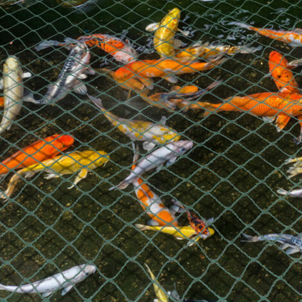 2x5M Dam Net Dam Net Grøn Have Net Anti-o Net Have Dam Cover Net Mesh Net Protect - Grøn