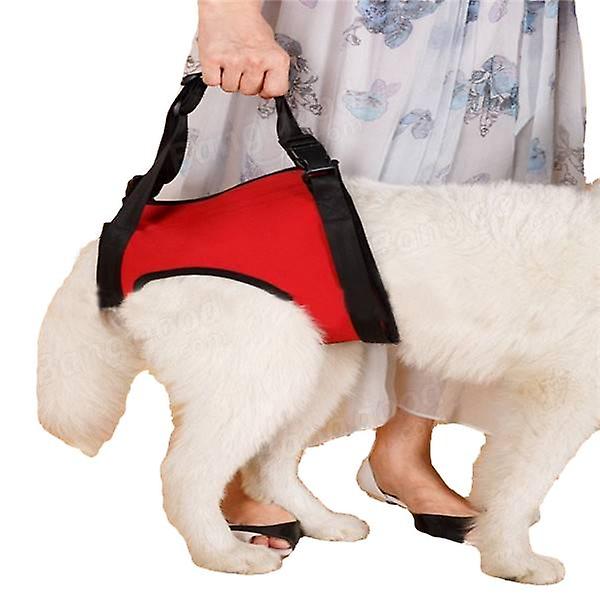 Hundhalsband, selar och koppel, bärbart bakbensbälte för hund (röd L bakben)
