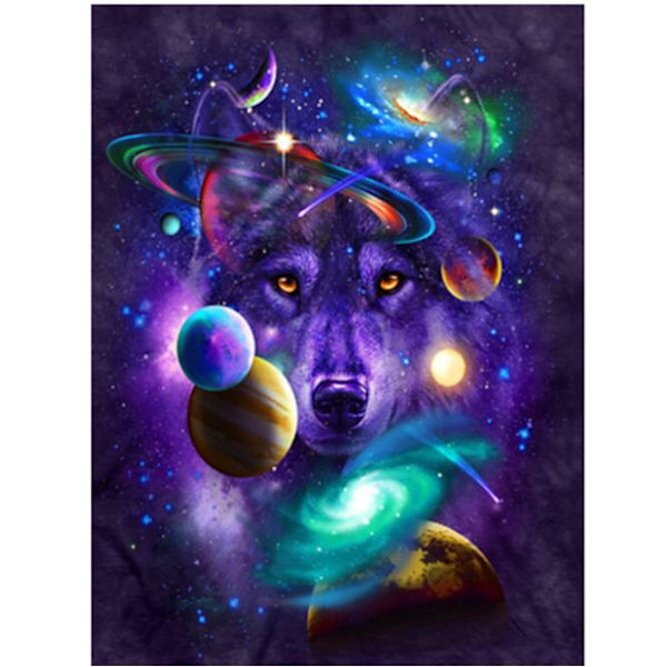 5D DIY Space Fox diamond painting (30*40cm)