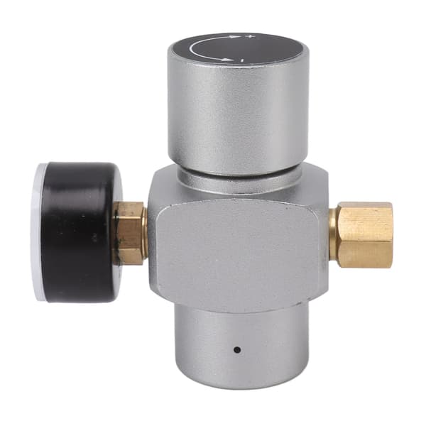 Trykregulator i rustfrit stål 0-60 PSI Hjemmebrygning Multifunktionel Slangetrykreducer