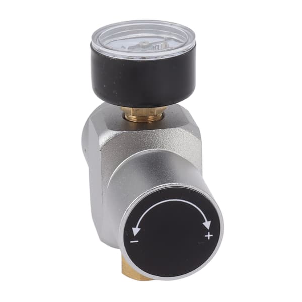 Tryckregulator i rostfritt stål 0-60 PSI Hemmabryggning Multifunktionell Slangtrycksreducerare