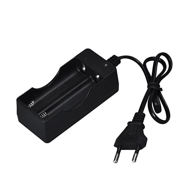 Lithium batterioplader med dobbelt slot