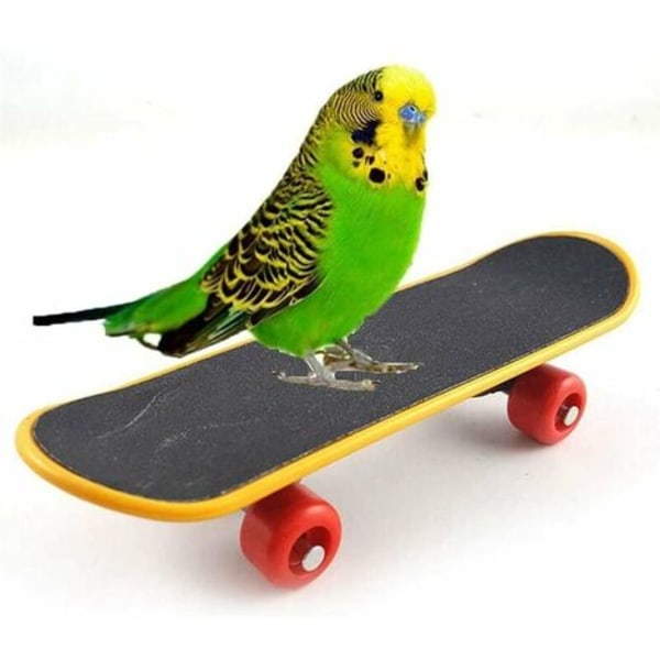 Pieces papegojleksak, fågelleksaker, färgglada papegojleksaker, innehåller korg, träningsring, skateboard, klocka, för fågelträning