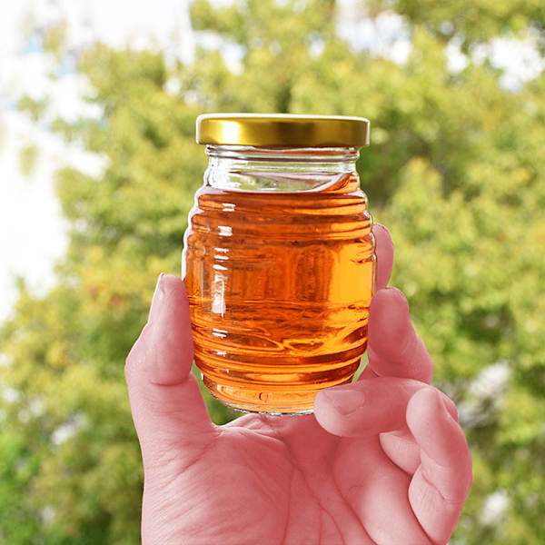 35/120/180ML Picknick Spice Glasflaska Transparent Glas Honung A1