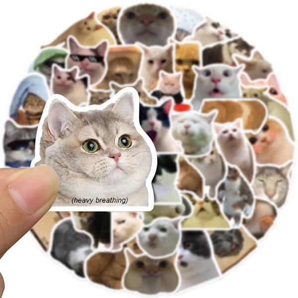 50st Cat MEME Animals Stickers Toy Graffiti Dekaler för barn